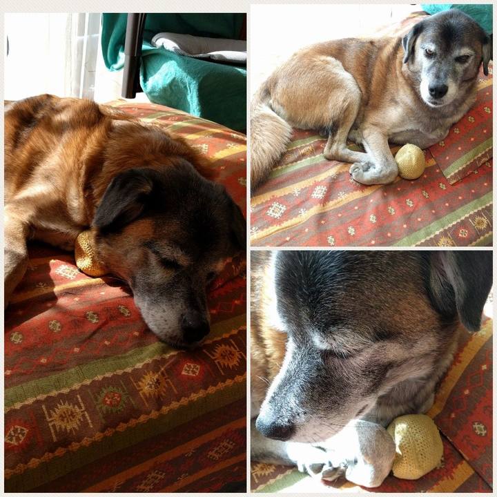 4b5c6c6f 9b6d 4d74 b4a9 1d35f249c404 1540206725263