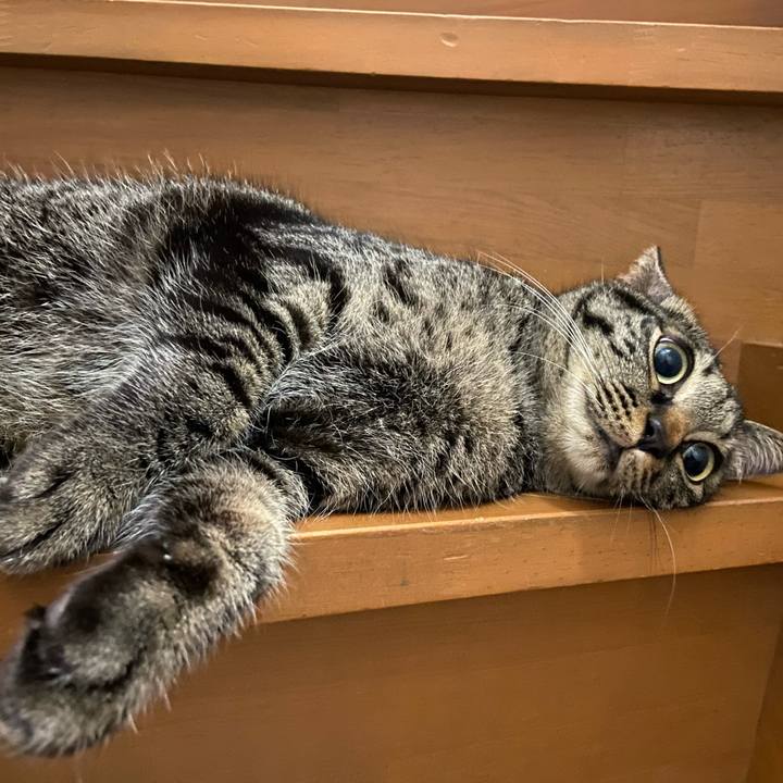 4b5c8a73 3b9b 4fa9 856f 8563e335aef7 1652439091137