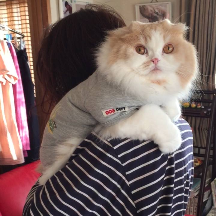 4b5ca36e abd8 4543 be8d 3e58a3344892 1549186590000