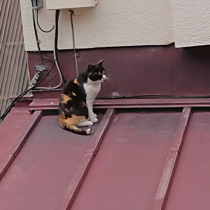 4b5cc67f 4821 4a18 9a20 a78af6bde054 1647668851608