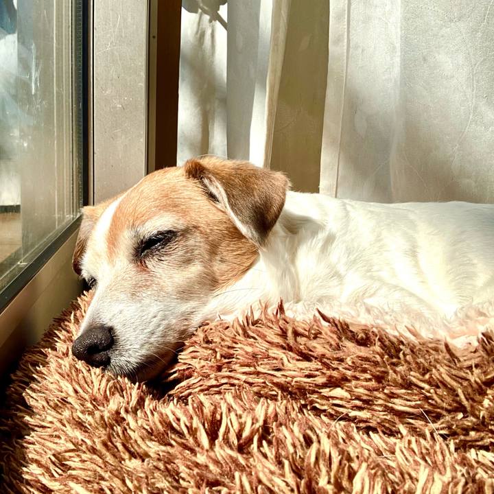 4b5ccfc5 ee4e 4293 9b72 c9a557df3bd0 1707734056889