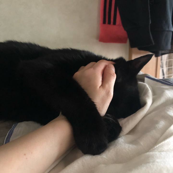 4b5cec9b 565d 41cf ab0b a5dc0eb9d1ea 1558860537635