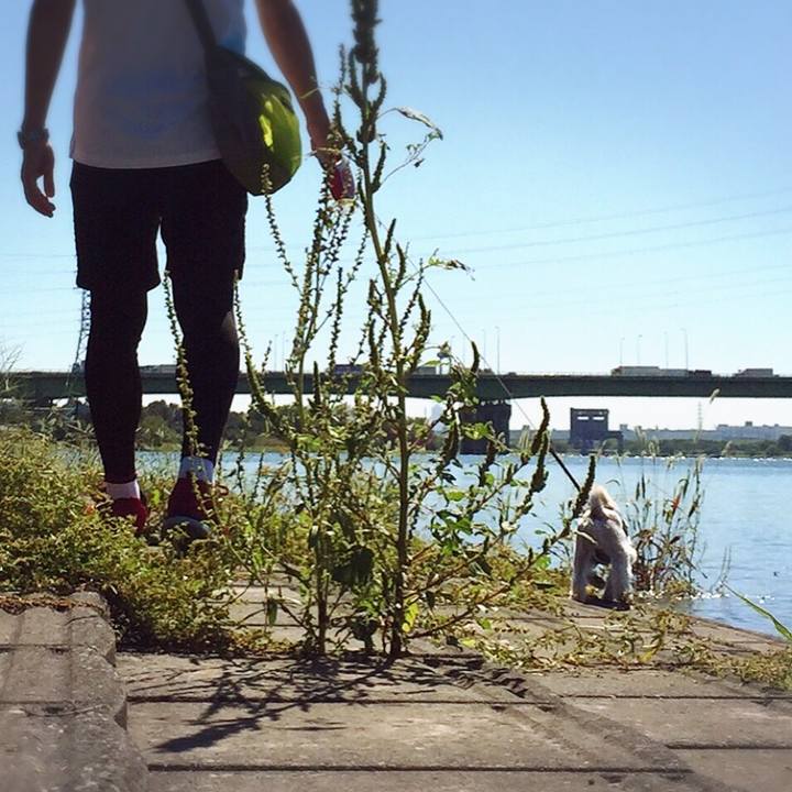 4b5cf083 66d2 4497 b16b c769997a2bb0 1538119437522