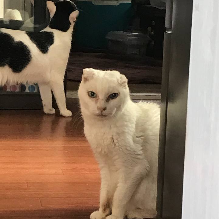 4b5d11f5 2b5d 4906 8fc3 37f510559eb5 1527976061192