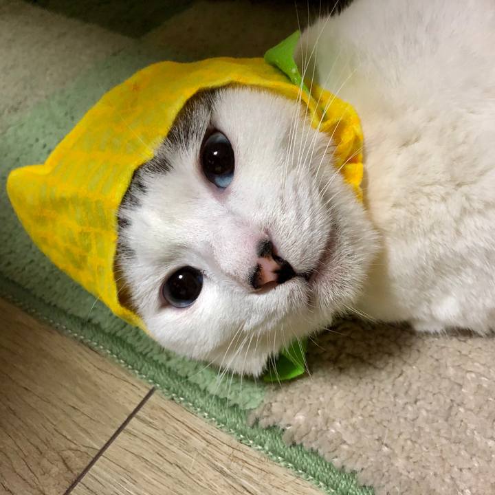 4b5d543d caae 4338 ba50 f382208a042a 1572936863921