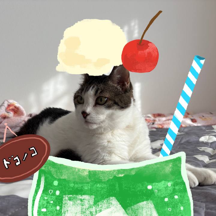 4b5d6fa6 5909 4cc5 a893 24ae48115f46 1755329362073