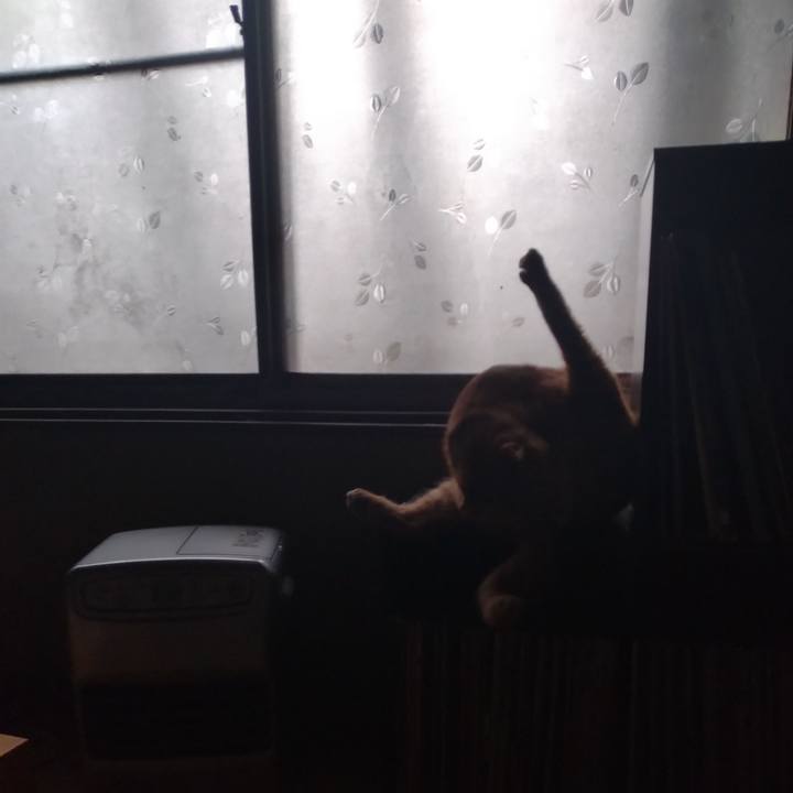 4b5d9814 d68f 4a3a 8248 60d701a54300 1668291382868