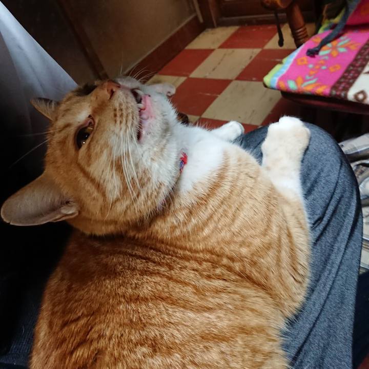 4b5d984f 17e5 4e5f 95d9 3c2e3aeb5ced 1578388192940