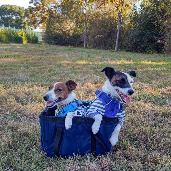 4b5dae2d 29c3 4549 aa6c 9abedd5013fc 1667479566726