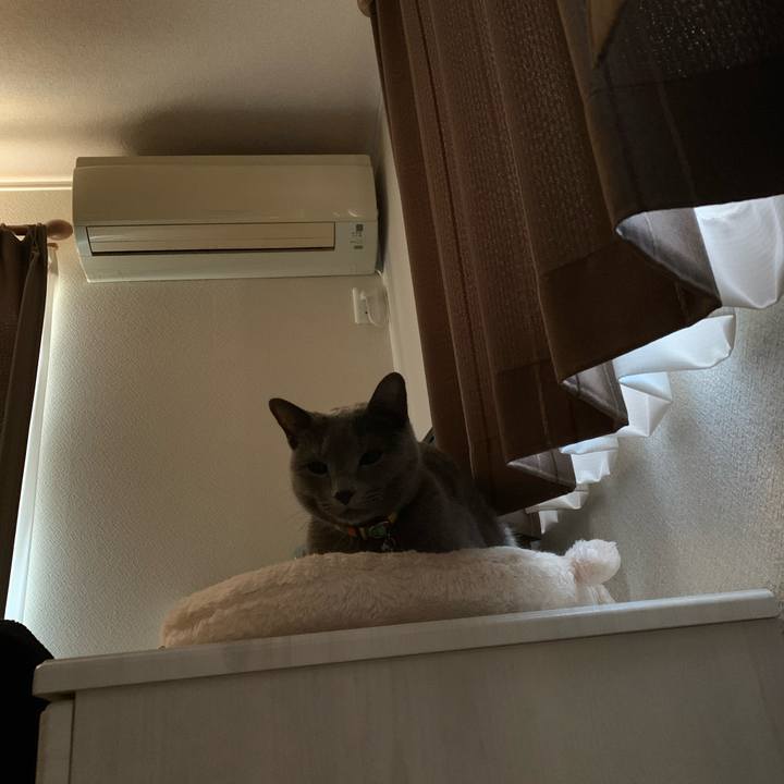 4b5de806 383b 46c8 9591 12f87c4e9eae 1671836434834