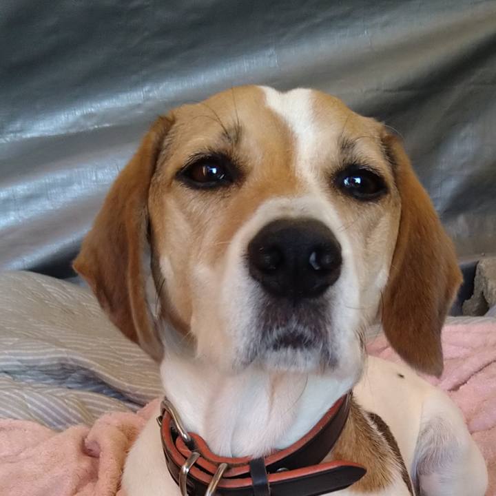 4b5e02ef 8faf 43ab b711 221bcecebf4a 1635612144332