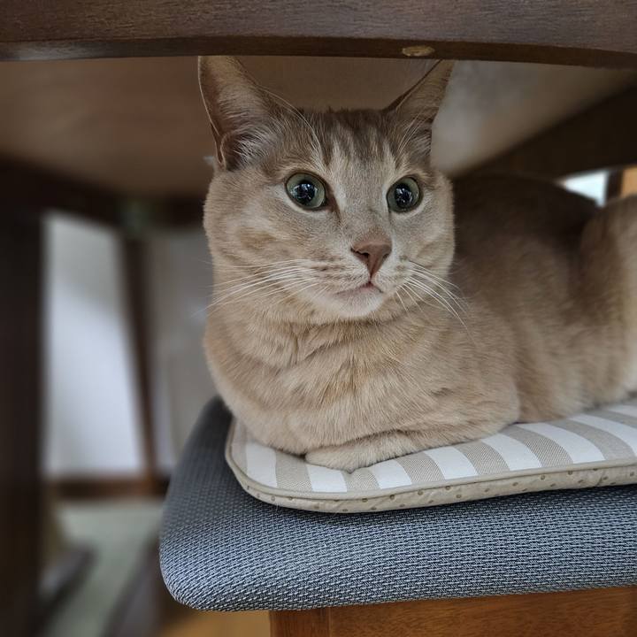 4b5e0dae 66b6 498e 8949 437deeb11e18 1740485928188