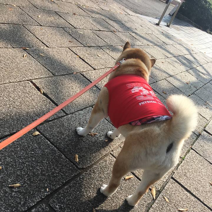 4b5e1eb8 15fe 44fc 8fec baf35407469d 1573440950938