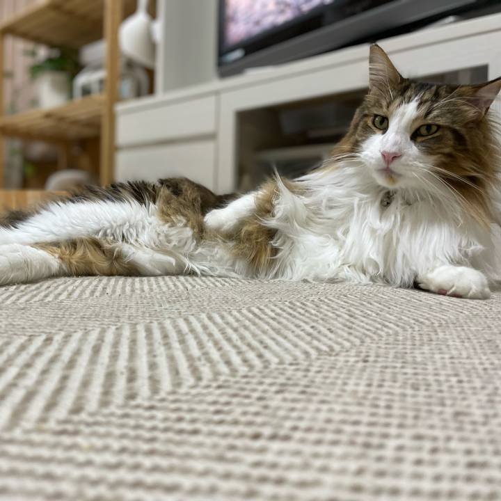 4b5e3fa3 0e70 45d1 8dc1 126cab531106 1675767497493