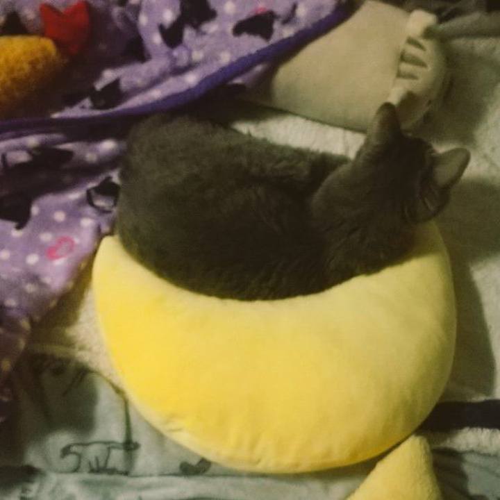 4b5e54ac 813e 4260 b840 6425373e2c14 1699769283015