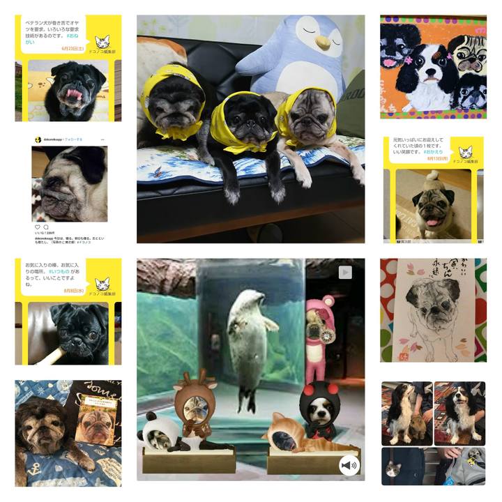 4b5e5545 9d9f 48e3 9416 4a25cfe4e033 1553170192916