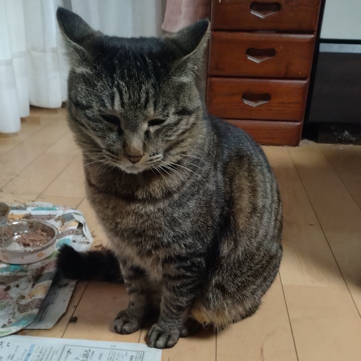 4b5e5761 0e2f 4e7e 8f66 3d09f0083d57 1681432060428