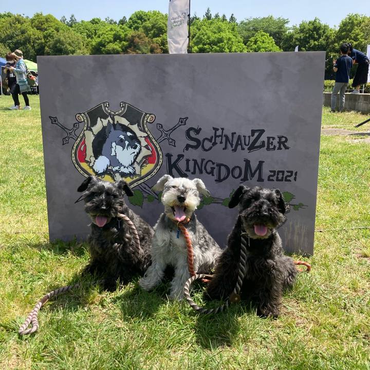 4b5e5dcc 4b3b 49f3 beae b1f47c1465dc 1620533424610