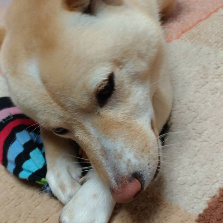 4b5ed553 a0b8 4ebf 9175 797fd96f473f 1522155400960