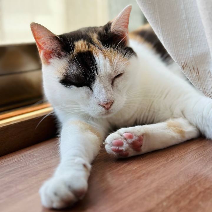 4b5f0041 f112 4881 89dd 9964a8127adf 1691631561656