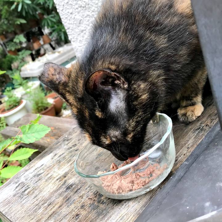 4b5f0161 526c 427c 931f 587dee879c25 1561430559107