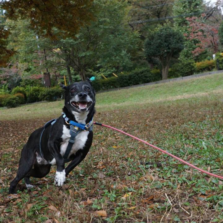 4b5f09c5 2c83 4c60 b9bb afbded84a308 1762301648360