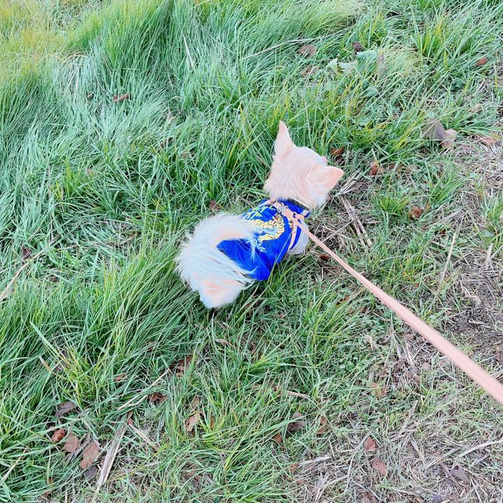 4b5f0a7f 13e0 4e21 b39b 50426ece9571 1672134219424