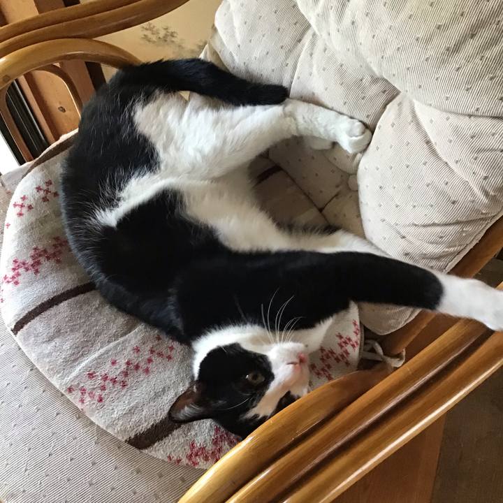 4b5f1a2d dc79 4dd0 9c69 a6072efa6eae 1658735246975