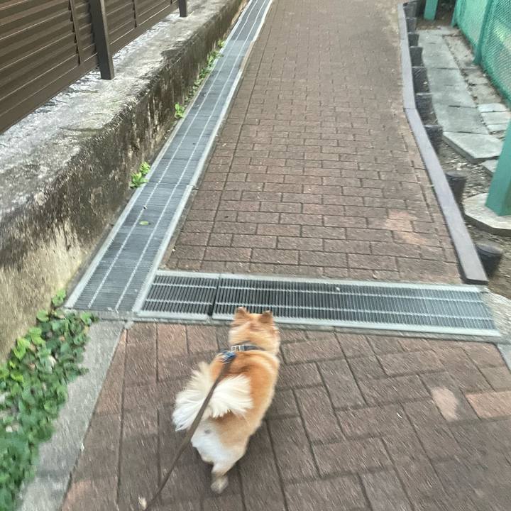 4b5f34a1 258c 463c 9bf2 12ad4c1a2080 1761726325215