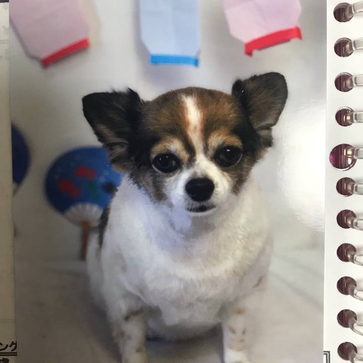 4b5f3d14 ff4b 412e 8b30 c9b4994296aa 1692785418680