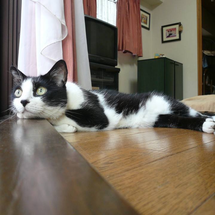 4b5f71d8 0396 4588 84c1 c75662c406bf 1509107235370