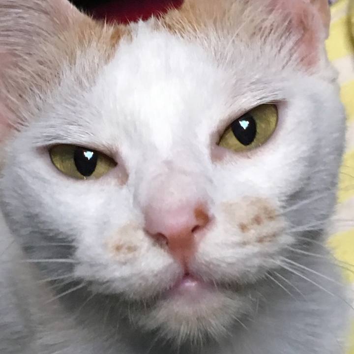 4b5ffaad 81d5 4ac3 9d05 48acb147ac1d 1532770647431