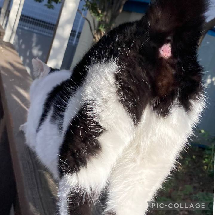 4b600663 069b 4df1 a860 c0c571bea921 1772871853231