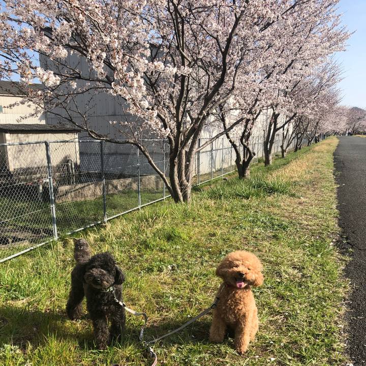 4b601915 71eb 46ce 885c 70d1cf9c50cc 1616852081440