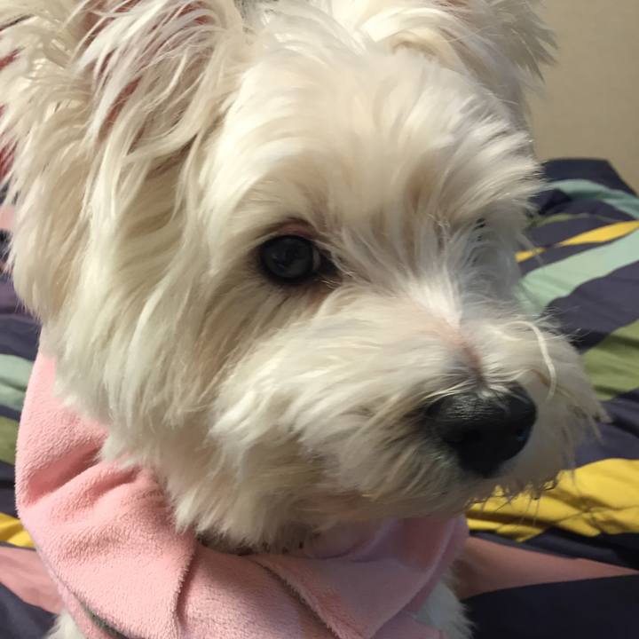 4b6030b9 371a 452a 8578 1377079c2bca 1508248178483