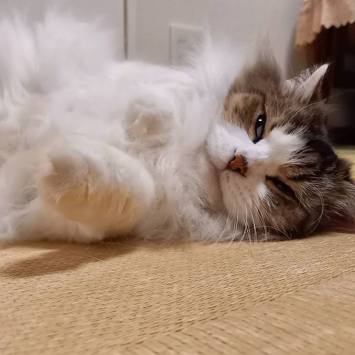 4b60340f a0b1 4c4d 9aa3 d12dcac29473 1660992849807