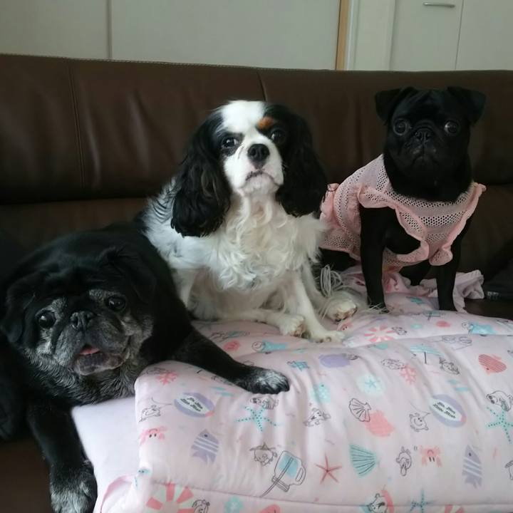 4b607295 6e50 4b48 aaa2 25fed572171d 1533620605495