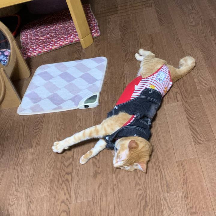 4b607bf1 3223 41e4 a9d3 87984ba93930 1625065119476