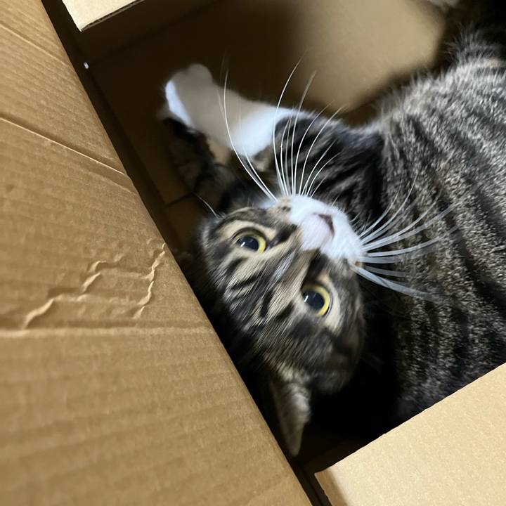 4b609008 aaaf 454c 8018 56b2df35fd47 1760743547382