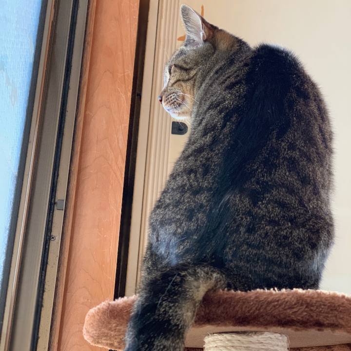 4b60d8f7 d3a3 46bf 84df 2c19b0d5fbc6 1538530508654