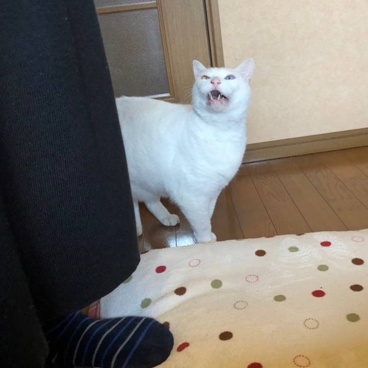 4b60e9c5 db95 4c4c a342 dd410594bd94 1643515590724