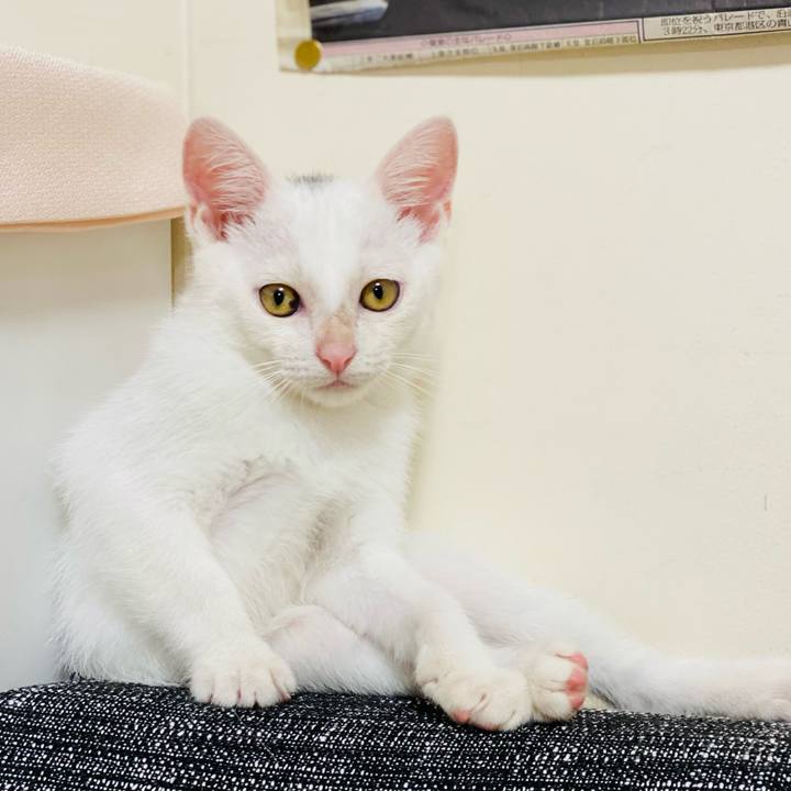 4b611e4a f6ad 40b9 bd28 3076b54ba3cd 1708845894467