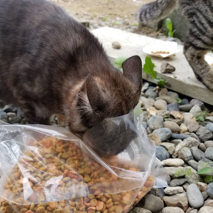 4b612020 95cd 4342 8f2c fe44b3491456 1593040445889