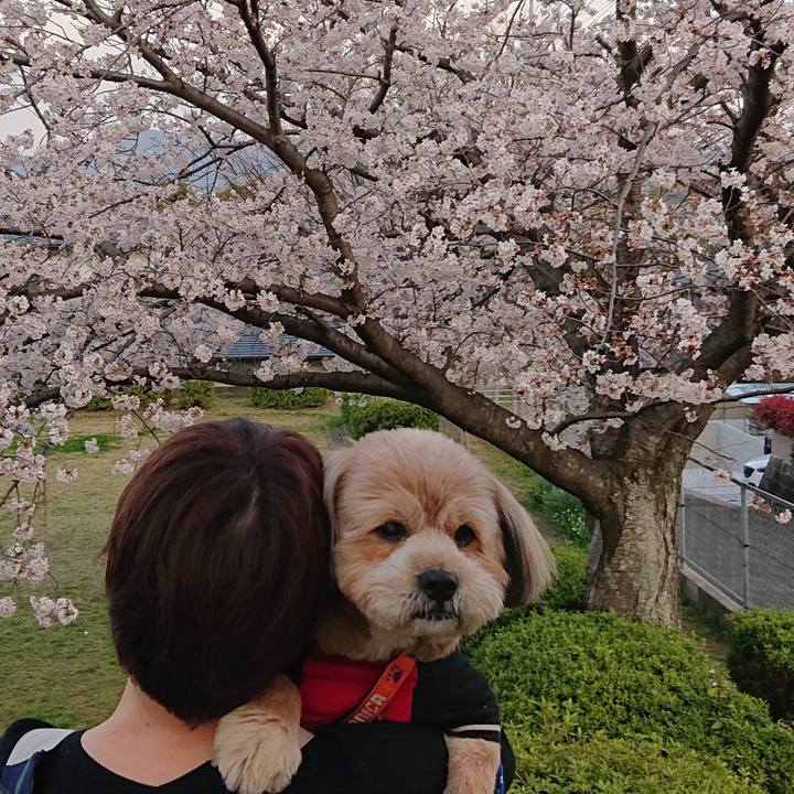 4b615099 ff31 4e98 b2ca d82d8ef713be 1616758197605