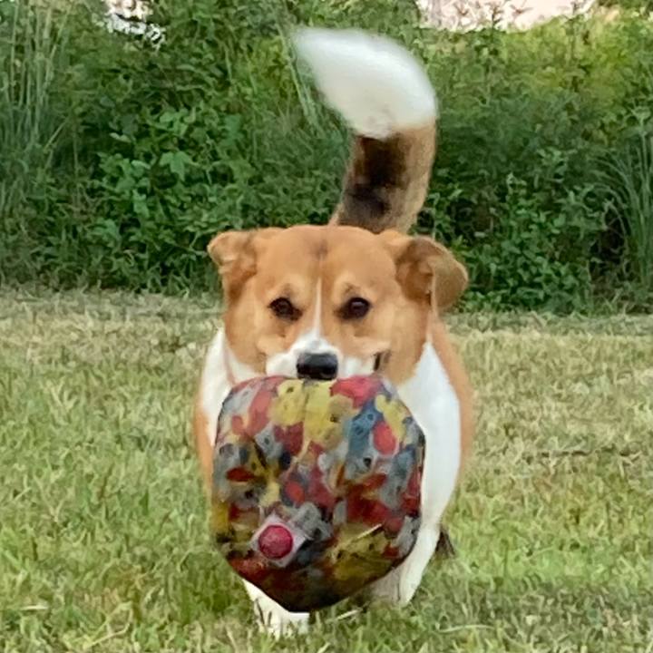 4b6162ba f07b 49e9 a426 7286cdac065f 1730714613515