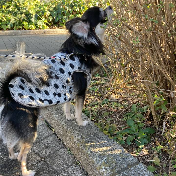 4b618832 5403 4047 bc6b 62da26971e42 1608962825964