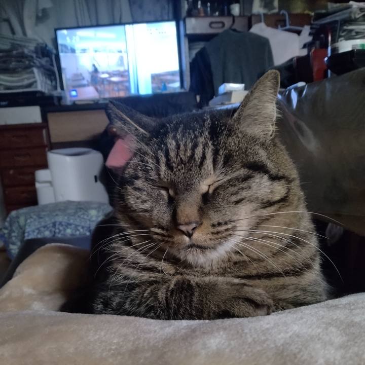 4b619237 18e2 4910 ad42 b56945cab924 1706047820844