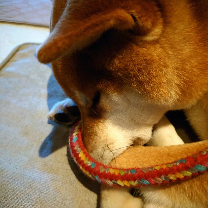 4b61e964 3895 4416 bb76 a30e797cf8d1 1768132984737