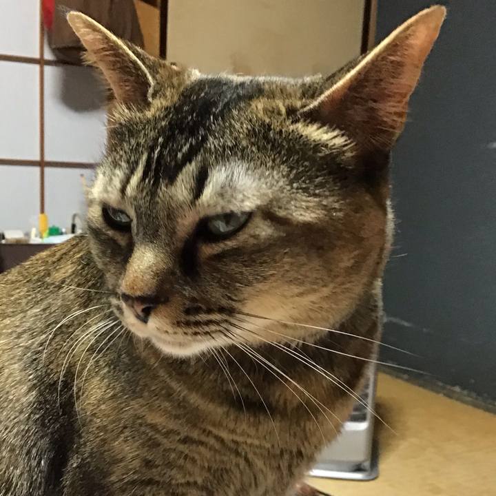 4b620789 c3e4 4fb8 b420 42ce2d9413a7 1672924655550