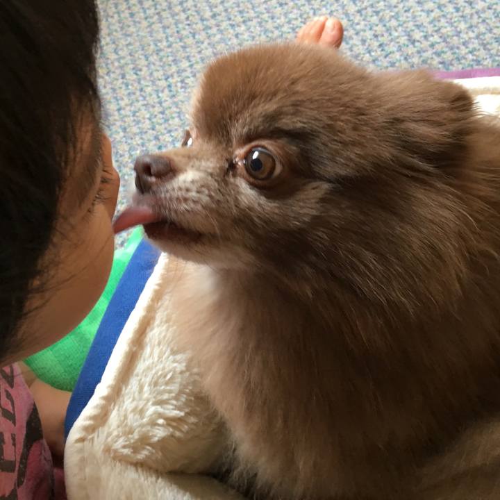 4b621310 8ae9 4949 bdba cdd257e597b4 1531050600951